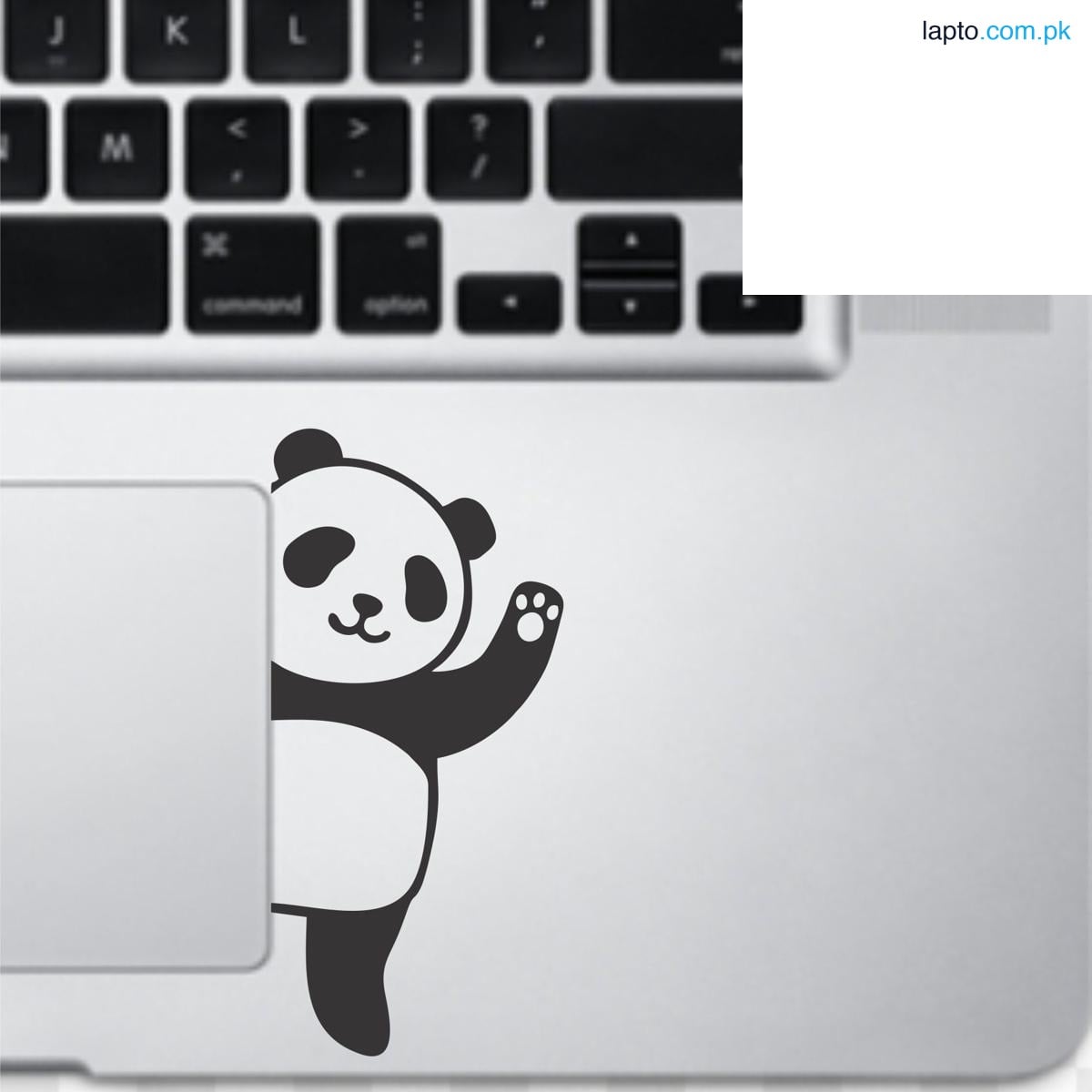 Panda New Design Sticker Decal, Car Stickers, Spider Man Wall Stickers High Quality Vinyl Stickers by Sticker Studio