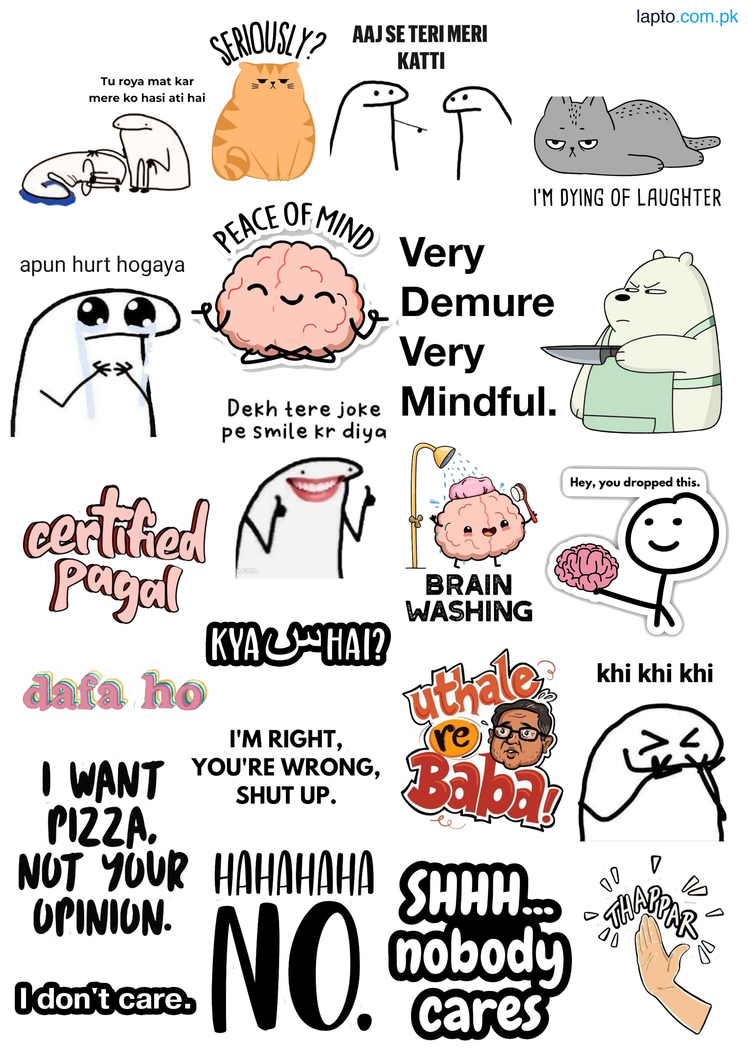 Funny Stickers Aesthetic Stickers cool Stickers 22 Pieces of fun Stickers For Decoration Laptops Mobile and Journal Best Quality 2 Inch Adhesives Girls & Boys Vibes