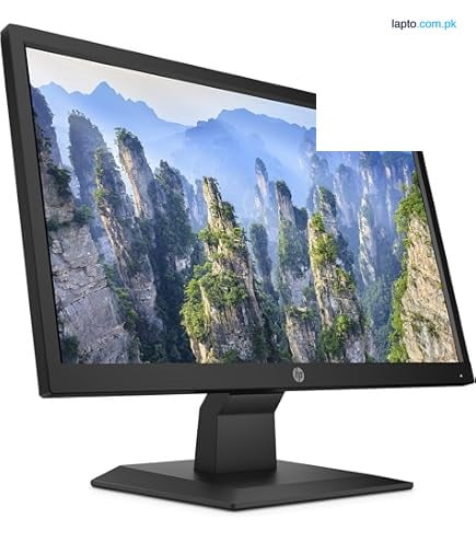 HP P204v 19.5-inch Monitor