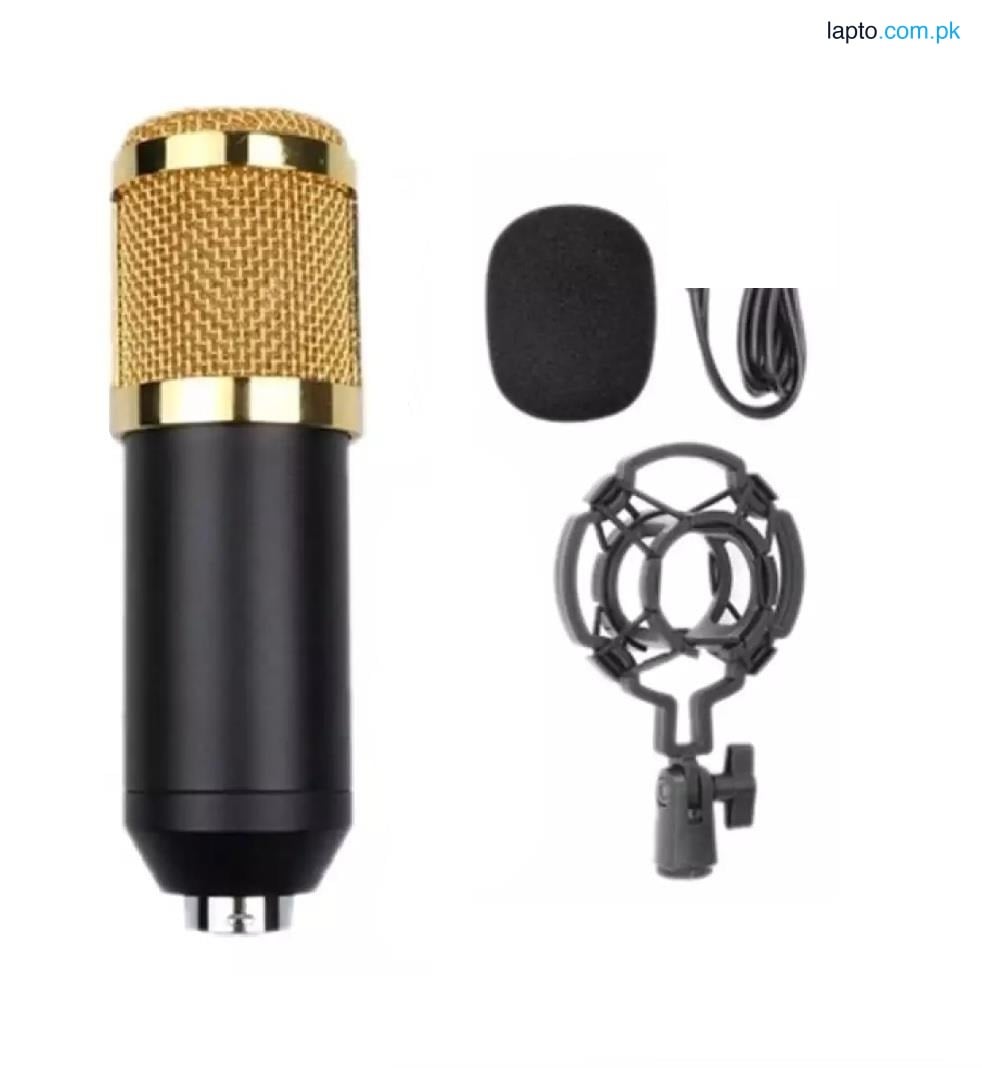 Zingyou Microphone Profesional Condenser Microphone Bm800