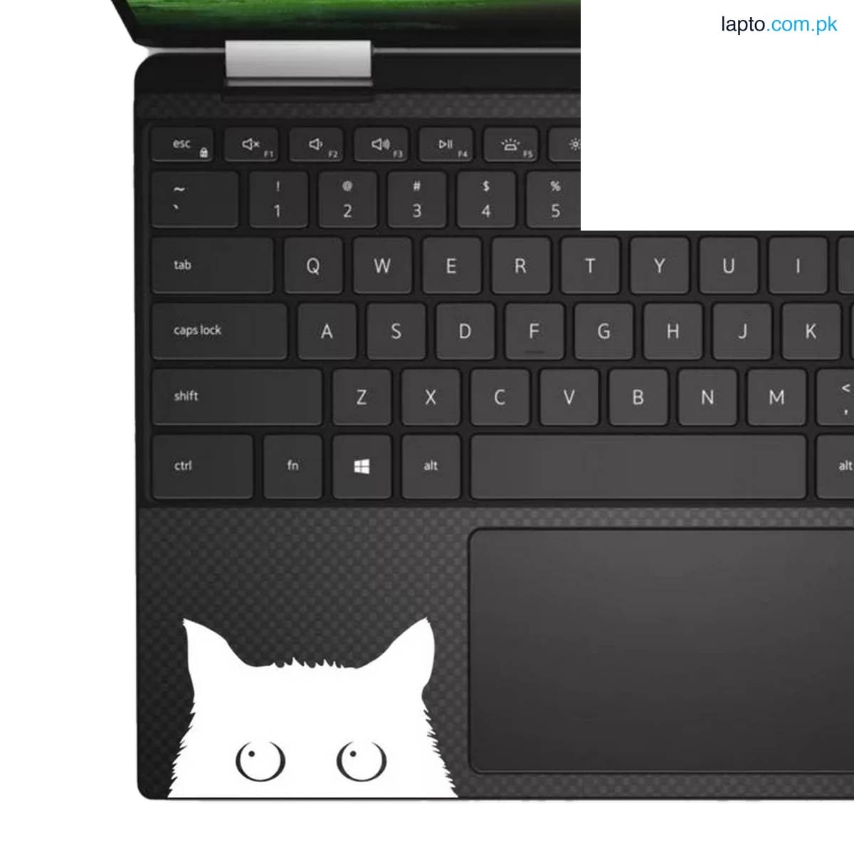 Cat Kitty Laptop Sticker Decal, Car Stickers, Wall Stickers High Quality Vinyl Stickers by Sticker Studio